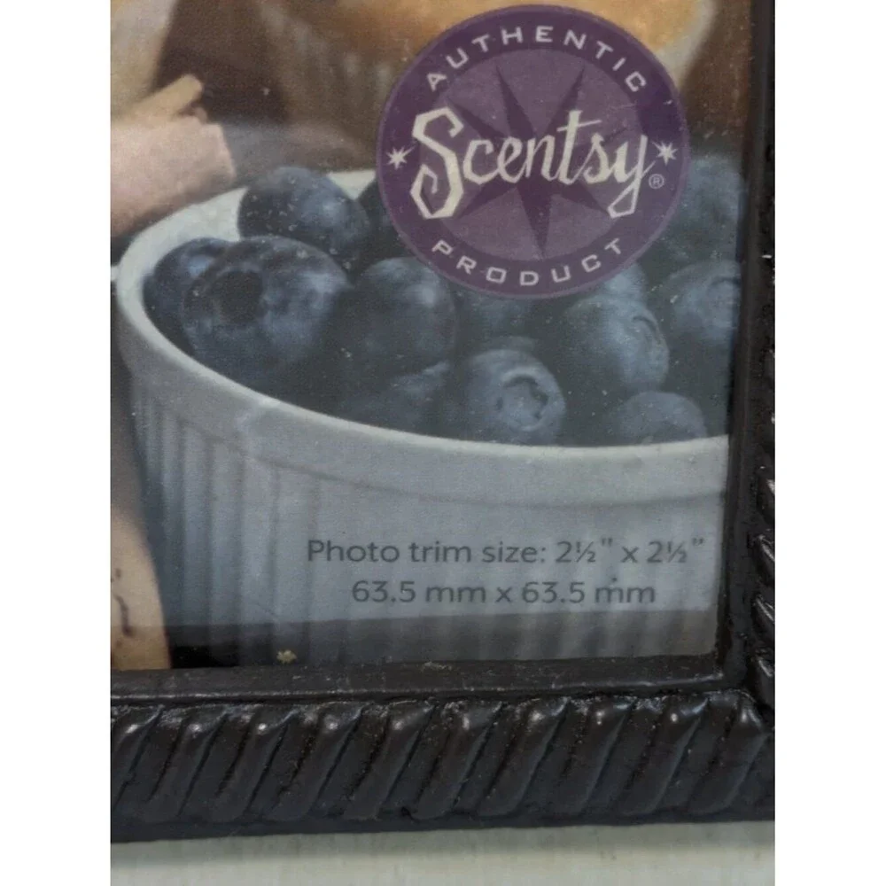 Scentsy Snapshot Wax Warmer Full Size Interchangeable Photo 2015